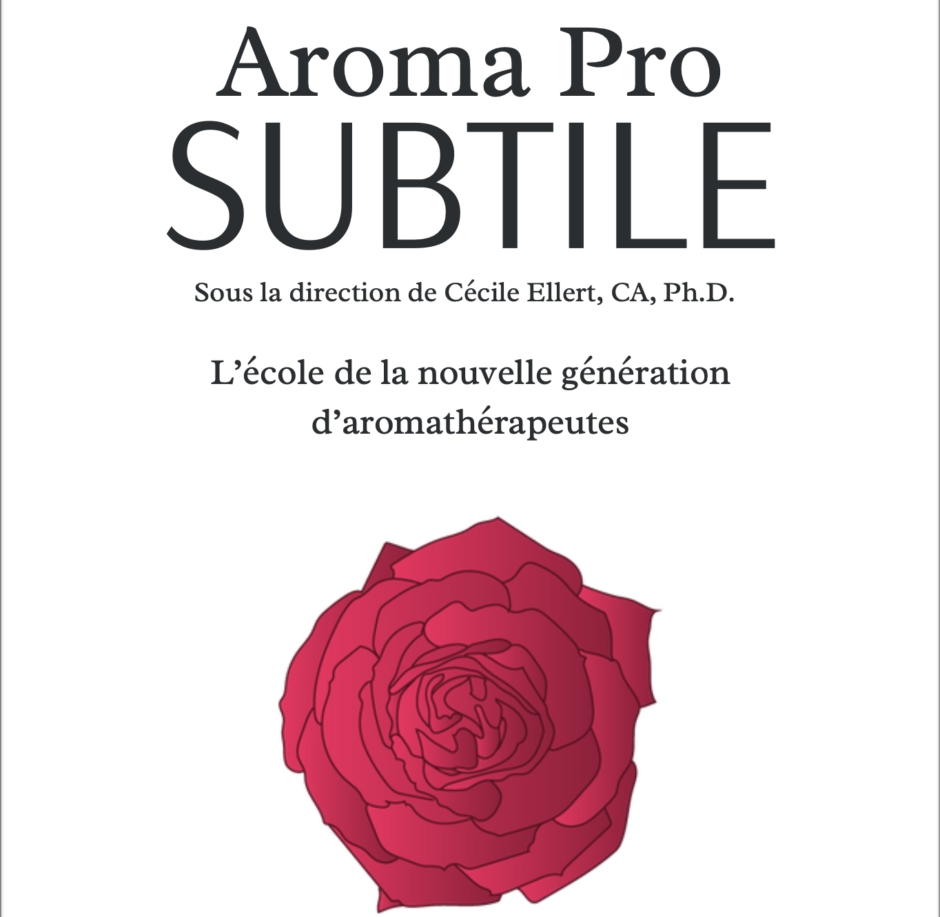 titre brochure subtile